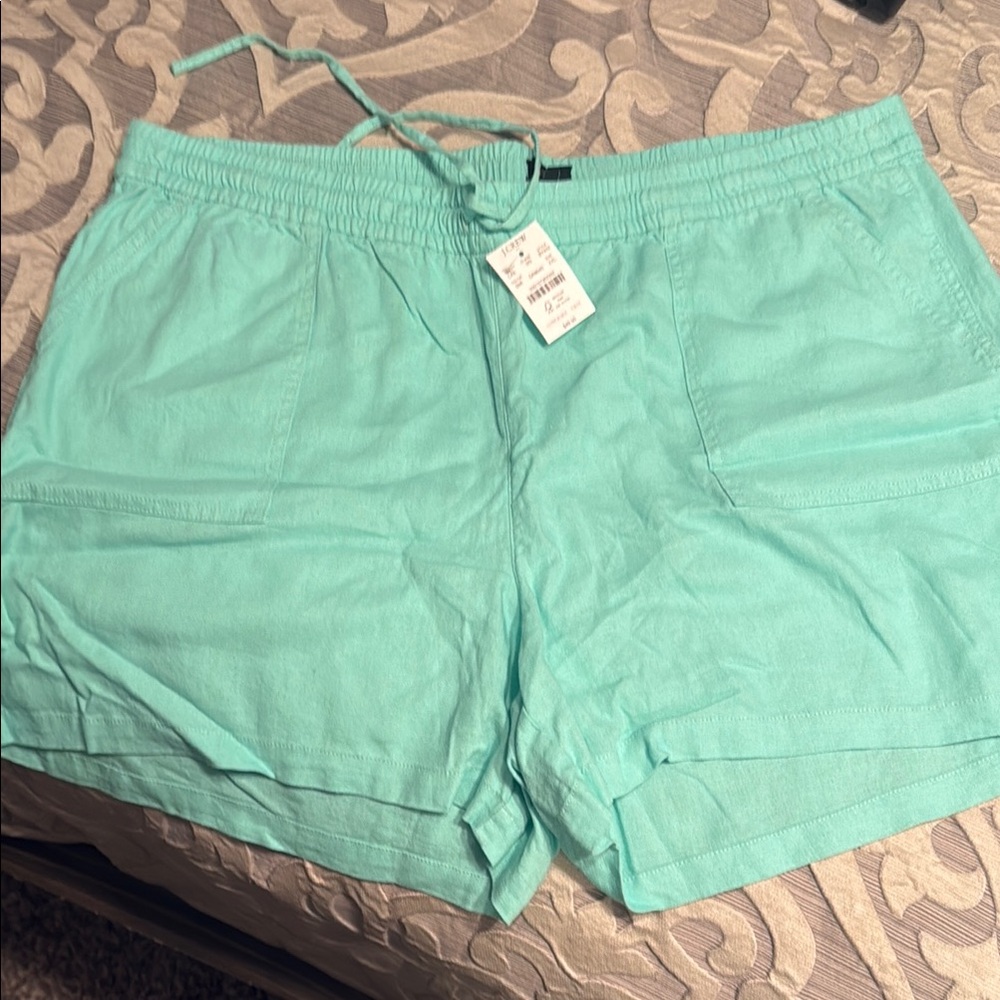 J.Crew Factory Mint Green Women's Shorts